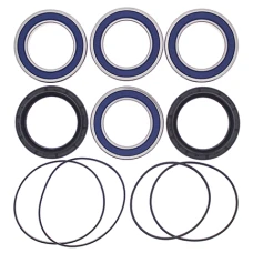 ALL BALLS ПІДШИПНИК КОЛЕСА ЗАДНЬОГО Z USZCZELNIACZAMI YAMAHA YFZ 450 '06-'09, YFM 700 RAPTOR '06-'12