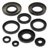 WINDEROSA (VERTEX) КОМПЛЕКТ (НАБІР) УЩІЛЬНЮВАЧІ SILNIKOWYCH YAMAHA GRIZZLY 400 07-08, KODIAK 400 00-06, GRIZZLY 450 07-14, WOLVERINE 450 06-10 - зображення 1