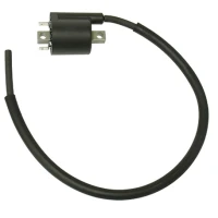 BRONCO КОТУШКА ЗАПАЛЮВАННЯ YAMAHA YFM 700 GRIZZLY (08-15), YFM 550 GRIZZLY (09-14), ROADLINER 1900 (06-14)