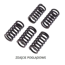 TRW LUCAS ZF ПРУЖИНИ SPRZEGLOWE DUCATI DIAVEL 1200 '17-'18