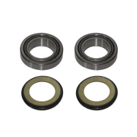 SIXTY5 УПРАВЛІННЯ BEAR KIT 30X50X13 2PCS