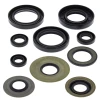 WINDEROSA (VERTEX) КОМПЛЕКТ (НАБІР) УЩІЛЬНЮВАЧІ SILNIKOWYCH YAMAHA YFM350 BRUIN 04-05, BIG BEAR 87-99, YFM400 KODIAK 93-99 - зображення 1