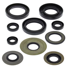 WINDEROSA (VERTEX) КОМПЛЕКТ (НАБІР) УЩІЛЬНЮВАЧІ SILNIKOWYCH YAMAHA YFM350 BRUIN 04-05, BIG BEAR 87-99, YFM400 KODIAK 93-99