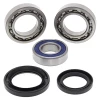 ALL BALLS ПІДШИПНИК КОЛЕСА ЗАДНЬОГО Z USZCZELNIACZAMI YAMAHA YFM 350FX WOLVERINE '00-'05 - зображення 1