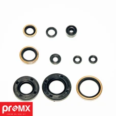 PROMX КОМПЛЕКТ (НАБІР) УЩІЛЬНЮВАЧІ SILNIKOWYCH KAWASAKI KX 250 (05-07) (10SZT.)