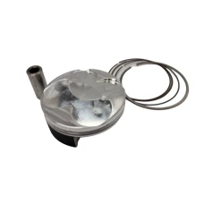 WOSSNER 2023/08 ПОРШЕНЬ (95,96MM)