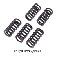 TRW LUCAS ZF ПРУЖИНИ SPRZEGLOWE APRILIA PEGASO STRADA/TRAIL 650 '05-'10