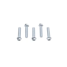 ACCEL БОЛТ KOLNIERZOWA M8X35MM Z WKLESLYM LBEM БЕЗ OZNACZEN (5 ШТУКИ.)
