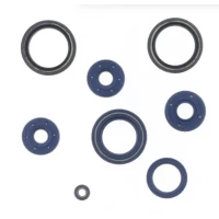 ATHENA 2026/01 КОМПЛЕКТ (НАБІР) УЩІЛЬНЮВАЧІ SILNIKOWYCH APRILIA AF1 / RS / SPORT 125 '88-'95, ЄВРОПА / PEGASO 125 '88-'95, WIND / TUAREG / RED ROSE 125 '88-'95