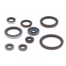 ATHENA КОМПЛЕКТ (НАБІР) УЩІЛЬНЮВАЧІ SILNIKOWYCH BETA RR 350 / 390 '11-'25 , RR RACING 350 / 390 '13-'23  (ЗАМІНЮЄ P400060400012)