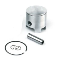 AIRSAL ПОРШЕНЬ KIT (301-1002)