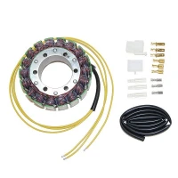ELECTROSPORT UZWOJENIE ГЕНЕРАТОР (STATOR) HONDA NT 650 HAWK '88-'90, SUZUKU GV 1200 MADURA '85-'86