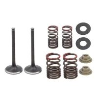 PSYCHIC 2025/05 КЛАПАНИ ВИПУСКНОГО (НАБІР ZE SPREZYNAMI I PODKLADKAMI) HONDA CRF 250 F '19-'24 СТАЛЬ