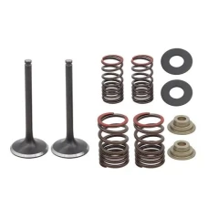 PSYCHIC 2025/05 КЛАПАНИ ВИПУСКНОГО (НАБІР ZE SPREZYNAMI I PODKLADKAMI) HONDA CRF 250 F '19-'24 СТАЛЬ