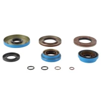 ALL BALLS USZCZELNIACZE ДИФЕРЕНЦІАЛУ ЗАДНЬОГО POLARIS RZR 570 EFI 16-20, RZR 570 EFI EPS 19-20, RZR XP 1000 INTL 15