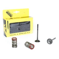 PROX СТАЛЬ EX. VALVE/SPRING KIT KX250F'04-16 + RM-Z250'04-06