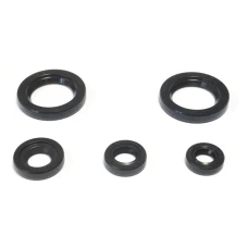 ATHENA КОМПЛЕКТ (НАБІР) УЩІЛЬНЮВАЧІ SILNIKOWYCH KTM DUKE 125 '11-16, DUKE 200 '12-16, RC 200 '15-16