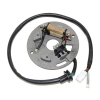ELECTROSPORT UZWOJENIE ГЕНЕРАТОР (STATOR) YAMAHA YZ 250 '90-'95, WR 250 '90-'97