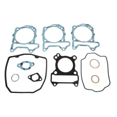 XRADICAL (ARTEIN GASKETS) УЩІЛЬНЕННЯ ТОП END APRILIA SPORT CITY ONE 125 '08-'10 , DERBI BOULEVARD 125 EU3 , PEUGEOT LOOXOR 125 '02-'03 , PIAGGIO LIBERTY 125 4T , VESPA LX / LXV 125 , ZIP 125 4T (LEADER)