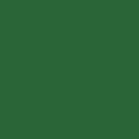 PROMX MAXI COLOR FARBA W SPRAYU КОЛІР RAL 6002 ЗЕЛЕНИЙ LISC
