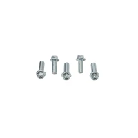 ACCEL БОЛТ KOLNIERZOWA M8X20MM Z WKLESLYM LBEM БЕЗ OZNACZEN (5 ШТУКИ.)