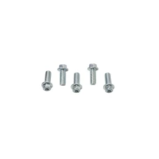 ACCEL БОЛТ KOLNIERZOWA M8X20MM Z WKLESLYM LBEM БЕЗ OZNACZEN (5 ШТУКИ.)