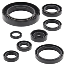 WINDEROSA (VERTEX) КОМПЛЕКТ (НАБІР) УЩІЛЬНЮВАЧІ SILNIKOWYCH HONDA CR250R 88-91, CR500R 89-01