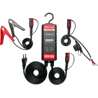 ЗАРЯДНИЙ ПРИСТРІЙ ДЛЯ АКУМУЛЯТОРА BS BATTERY BS30 (3 A)