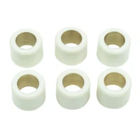 ATHENA РОЛИКИ ВАРІАТОРА 6 ШТУКИ. 16 X 13 MM 10 GR. YAMAHA YQ/YW/YN/YM/JOG/YH/BWS 50, SUZUKI UX/UF/AY/AP/AH 50, PIAGGIO ZIP/LIBERTY 50, PEUGEOT ELYSEO/LOOXOR 50, KYMCO DJ/DINK 50