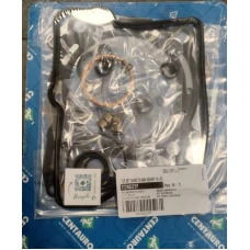 CENTAURO УЩІЛЬНЕННЯ TOP-END GASKETS KAW.KX450F 19