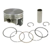 NAMURA ПОРШЕНЬ KAWASAKI KVF 360 PRARIE '03-'13 (81,48MM = +1,50MM) (КІЛЬЦЯ NA-20036-6R) - зображення 1