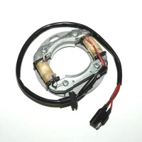 ELECTROSPORT UZWOJENIE ГЕНЕРАТОР (STATOR) SUZUKI RM 80/85 '82-'11, 125 '81-'86, RM250 76-81, RM400/465/500 78-84