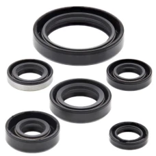 WINDEROSA (VERTEX) КОМПЛЕКТ (НАБІР) УЩІЛЬНЮВАЧІ SILNIKOWYCH KAWASAKI KLX250R 94-96, KLX250S 06-18, KLX250SF 09-10, KLX300(R) 97-07