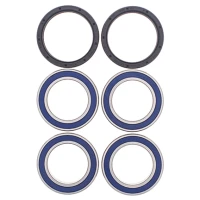 ALL BALLS ПІДШИПНИК КОЛЕСА ЗАДНЬОГО Z USZCZELNIACZAMI CAN-AM DS450 EFI/STD/X '09-'14