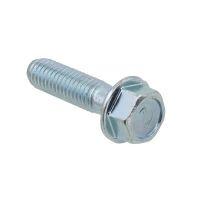 PSYCHIC 2025/05 БОЛТ KOLNIERZOWA M8 X 1.25 X 30MM Z OZNACZENIEM (5 ШТУКИ.)