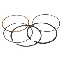 VERTEX КІЛЬЦЯ ( ДІАМЕТР 100MM ) (КОМПЛЕКТ.)