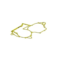 XRADICAL(ARTEIN GASKETS) ПРОКЛАДКА KARTEROW ДВИГУНА (SRODKA ДВИГУНА) BETA RR 250/300 '13-'23