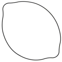 WINDEROSA (VERTEX) ПРОКЛАДКА КРИШКИ КОМПЛЕКТА СЦЕПЛЕННЯ SUZUKI RM 125 (RM125) 92-07 (ОРИГІНАЛЬНІ) (ЗОВНІШНЯ)