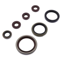 ATHENA КОМПЛЕКТ (НАБІР) УЩІЛЬНЮВАЧІ SILNIKOWYCH SHERCO SE-R 250/300 14-20