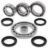ALL BALLS КОМПЛЕКТ РЕМОНТУ ДИФЕРЕНЦІАЛУ ЗАДНЬОГО SUZUKI LT-A500F QUAD MASTER (01), LT-F500F '01-'02 - зображення 2