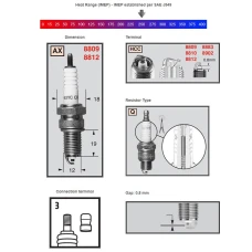 CHAMPION SPARKPLUG 8809 POWERSPORT