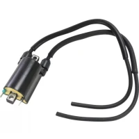 EMGO 2025/02 КОТУШКА ЗАПАЛЮВАННЯ HONDA CB 400 F '89-'90, CB 600 F '98-'02, CBR 600 F '91-'98, CB 750 '91-'96, CB 900 F HORNET '02-'07, CBR 900 RR '93-'99, CB 1000 '94-'96, CBR 1000 F '87-'93, ST 1100 '91-'03, GL 1500 GOLD WING / VALKYRIE '88-'03 (OEM: 305