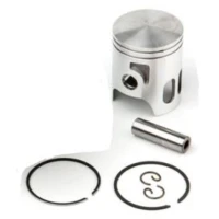 AIRSAL ПОРШЕНЬ KIT (301-1010)