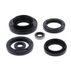 WINDEROSA (VERTEX) КОМПЛЕКТ (НАБІР) УЩІЛЬНЮВАЧІ SILNIKOWYCH KAWASAKI KVF750 BRUTE FORCE '15-'19, KVF750 BRUTE FORCE EPS '15-'19 - зображення 1