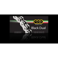 REGINA ЛАНЦЮГ 525ZRA (124 ЛАНКИ) Z-RING DUAL DO 800 CCM ЧОРНИЙ (КРИШКА) (137ZRA/1000)