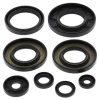 WINDEROSA (VERTEX) КОМПЛЕКТ (НАБІР) УЩІЛЬНЮВАЧІ SILNIKOWYCH YAMAHA YFM550 GRIZZLY 09-14, YFM700 GRIZZLY 07-15, RHINO 08-13, VIKING 14-18 - зображення 2