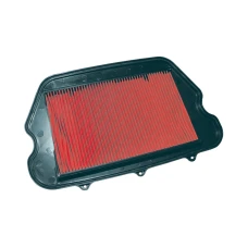 TECNIUM (VICMA) ФІЛЬТР ПОВІТРЯ HONDA CBR 1100 XX (96-98) (8729) (AF1910V) (ПРОДАЖА)