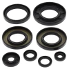 WINDEROSA (VERTEX) КОМПЛЕКТ (НАБІР) УЩІЛЬНЮВАЧІ SILNIKOWYCH YAMAHA YFM550 GRIZZLY 09-14, YFM700 GRIZZLY 07-15, RHINO 08-13, VIKING 14-18 - зображення 1