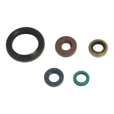 ATHENA КОМПЛЕКТ (НАБІР) УЩІЛЬНЮВАЧІ SILNIKOWYCH KAWASAKI KLX 250 09-12, KLX 250S 07-12