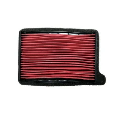 ПОВІТРЯНИЙ ФІЛЬТР EMGO TRIUMPH TRIDENT 660 '21-'24 (OEM: T2205986)